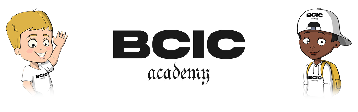 BCIC Academy